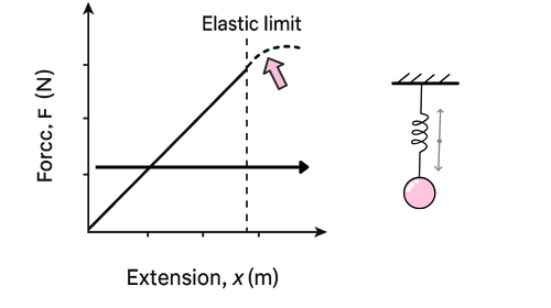 Graph showing Hooke's Law